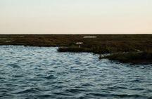Ria Formosa Sunset Boat Tour with a Marine Biologist