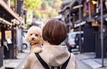Hida Takayama and Shiragawa-go Guided Tour from Nagoya