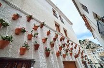 Costa Blanca in One Day: Guadalest, Altea and Algar Waterfalls