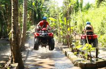 ATV quad bike with Bali swing highlight