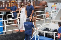 Premium snorkel trip to Similan Islands from Khao Lak