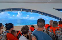 Speedboat Tour to Surin Islands with Snorkel From Khao Lak