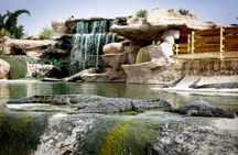 Morning Tour to Crocoparc & Tree-Climbing Goats From Agadir or Taghazout