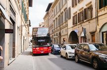 Accademia Gallery guided tour with 24 or 48-hour hop-on hop-off bus tickets