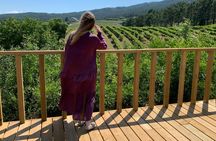 Albarino Wine and Vineyard Tour with Tasting Experience