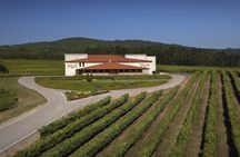 Albarino Wine and Vineyard Tour with Tasting Experience