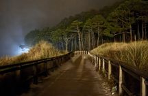 Stargazing on Cies Islands  by Sailingboat