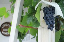 Special Wine Tour at Shirayuri Winery in Katsunuma Yamanashi
