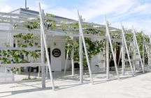 Special Wine Tour at Shirayuri Winery in Katsunuma Yamanashi