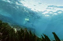 Snorkeling Tour with Certified Guides in Cambrils