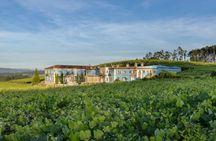 Albariño Wine Tasting with Guided Winery Tour