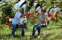 Albariño Wine Tasting with Guided Winery Tour