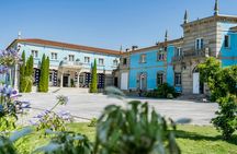 Albariño Wine Tasting with Guided Winery Tour