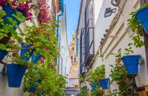 Day trip from Málaga to Córdoba with optional guided tour