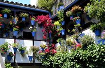 Day trip from Málaga to Córdoba with optional guided tour