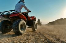 Quad Bike Adventure with Bedouin Tea from El-Alamain