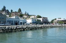 Muir Woods and Sausalito guided tour with transportation