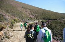 Walking tour in the village of Drave from Arouca with optional meal