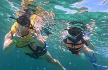 Cancun snorkelling experience with turtles, reef and shipwreck