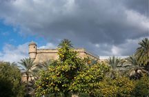 Palma de Mallorca: Small-Group Tour & Fast-Track Cathedral