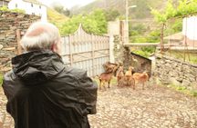São Macário villages private 4×4 tour from Arouca with optional lunch