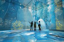 "Frameless" Immersive Art Experience entrance tickets