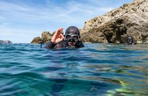 Scuba tour with two dives from Bonaire Harbour for certified divers