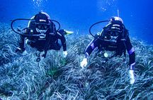 Scuba tour with two dives from Bonaire Harbour for certified divers
