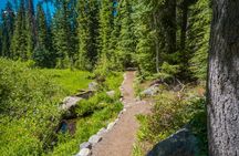 Self-guided audio driving tour of Crater Lake National Park