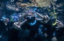 Guided snorkelling trip in Medes Islands Marine Reserve