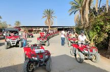 Quad Bike Adventure with Bedouin Tea from Mersa Matrouh