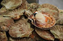 Essential Santiago de Compostela Tour With Tasting