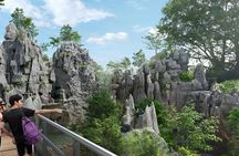 Rainforest Wild Asia