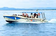 Boat trip to Illes Medes and Roca Foradada from L'Estartit