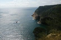 Boat trip to Illes Medes and Roca Foradada from L'Estartit