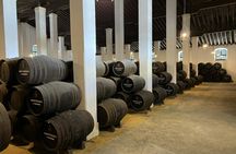 Jerez winery tour with wine tasting