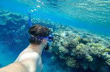 Ain Sokhna snorkeling and submarine cruise with lunch from Cairo