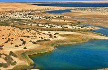 Discover El-Fayoum Oasis, Wadi El Rayyan and Meidum Pyramid from Cairo