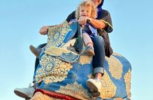 Camel Riding and Moroccan Tea on Tamri Beach from Agadir or Taghazout