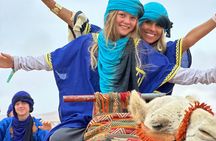 Camel Riding and Moroccan Tea on Tamri Beach from Agadir or Taghazout
