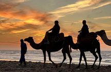 Sunset Camel Ride with BBQ Dinner from Agadir or Taghazout