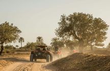 1.5-hour quad bike tour in Djerba