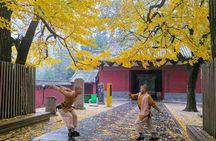 Zhengzhou private cultural tour to Shaolin temple and Longmen Grottoes