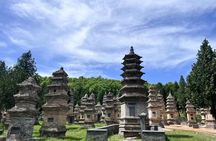 Zhengzhou private cultural tour to Shaolin temple and Longmen Grottoes