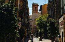 Valencia English tour with entry to La Lonja, Catedral and San Nicolás