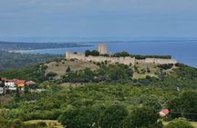 Full-day train journey to Mount Olympus and Dion from Athens
