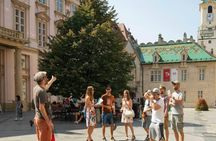 Bratislava city center tour from Vienna with lunch options