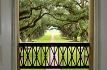 Oak Alley Plantation Tour