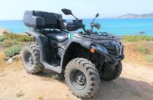 Quad biking tour from Santa Teresa di Gallura