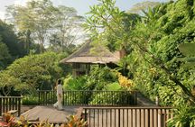 75 minutes tropical rejuvenation at Maya Ubud Spa